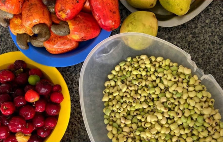 Plataforma desenvolvida pelo IPTI une agricultura familiar a merenda escolar