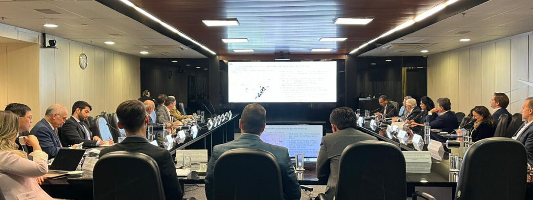 Secretário executivo participa de reunião nacional sobre oferta futura de gás natural 