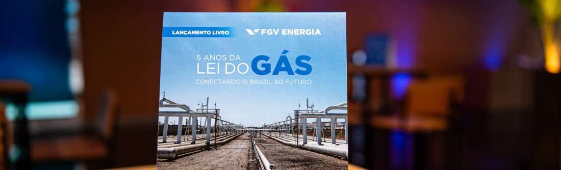 Sedetec participa de lançamento de obra que celebra cinco anos da Lei do Gás